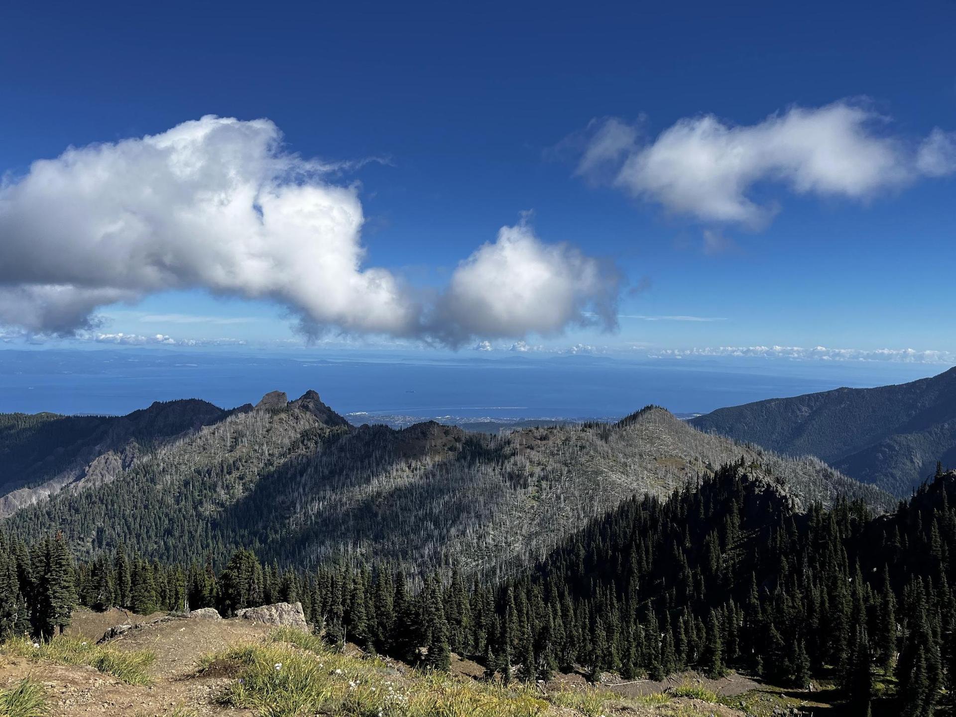 Forested mountain peaks under a bright blue sky with distant ocean.