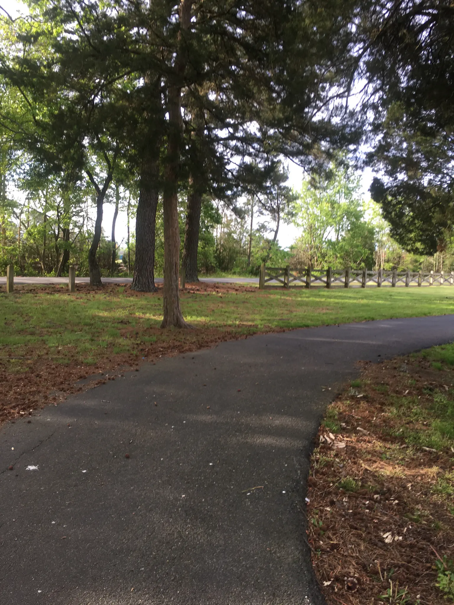 Paved path winding through a shaded park with trees and a wooden fence.