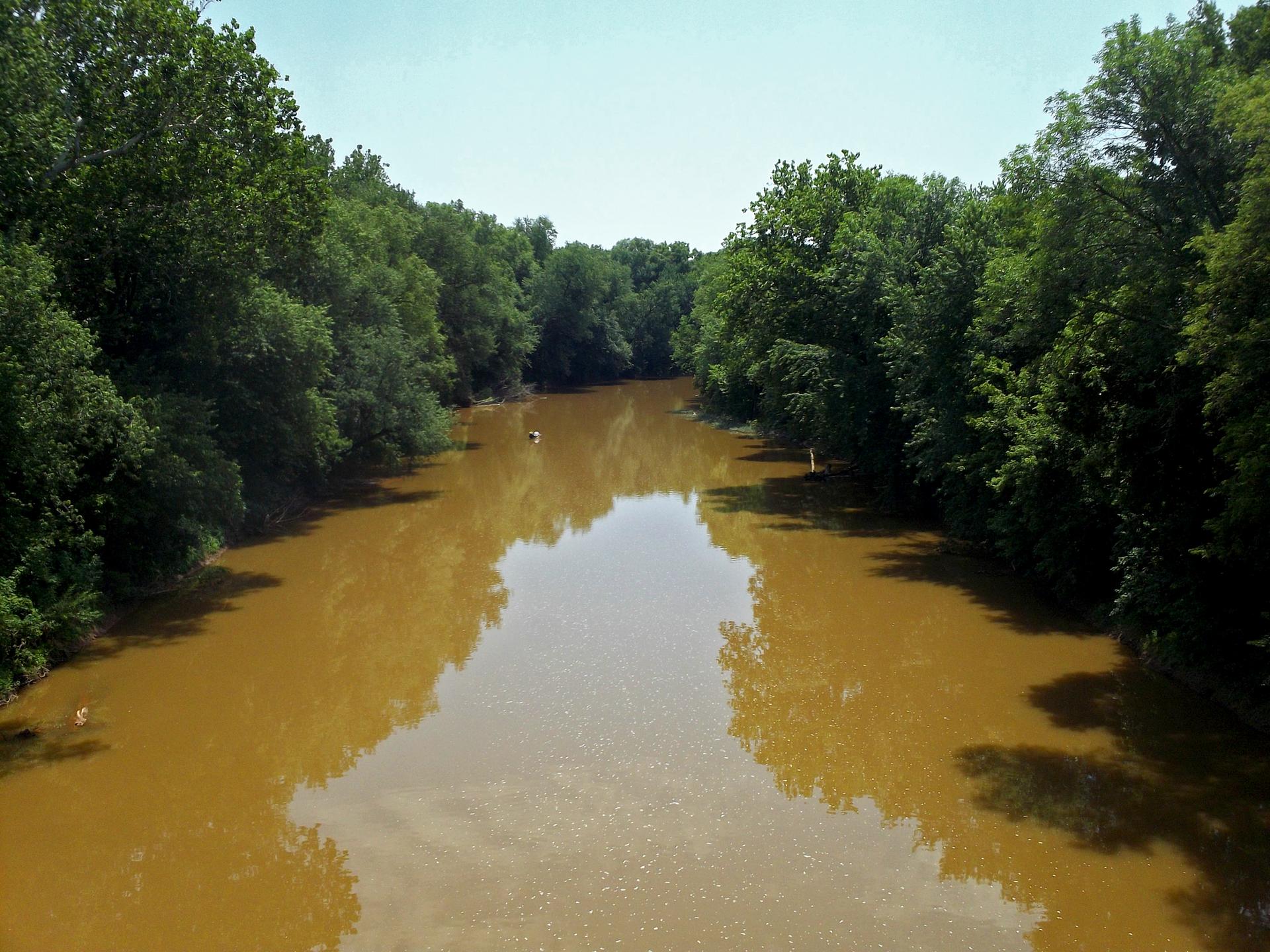 Turbid river reflecting bright sky, flanked by dense green summer trees.