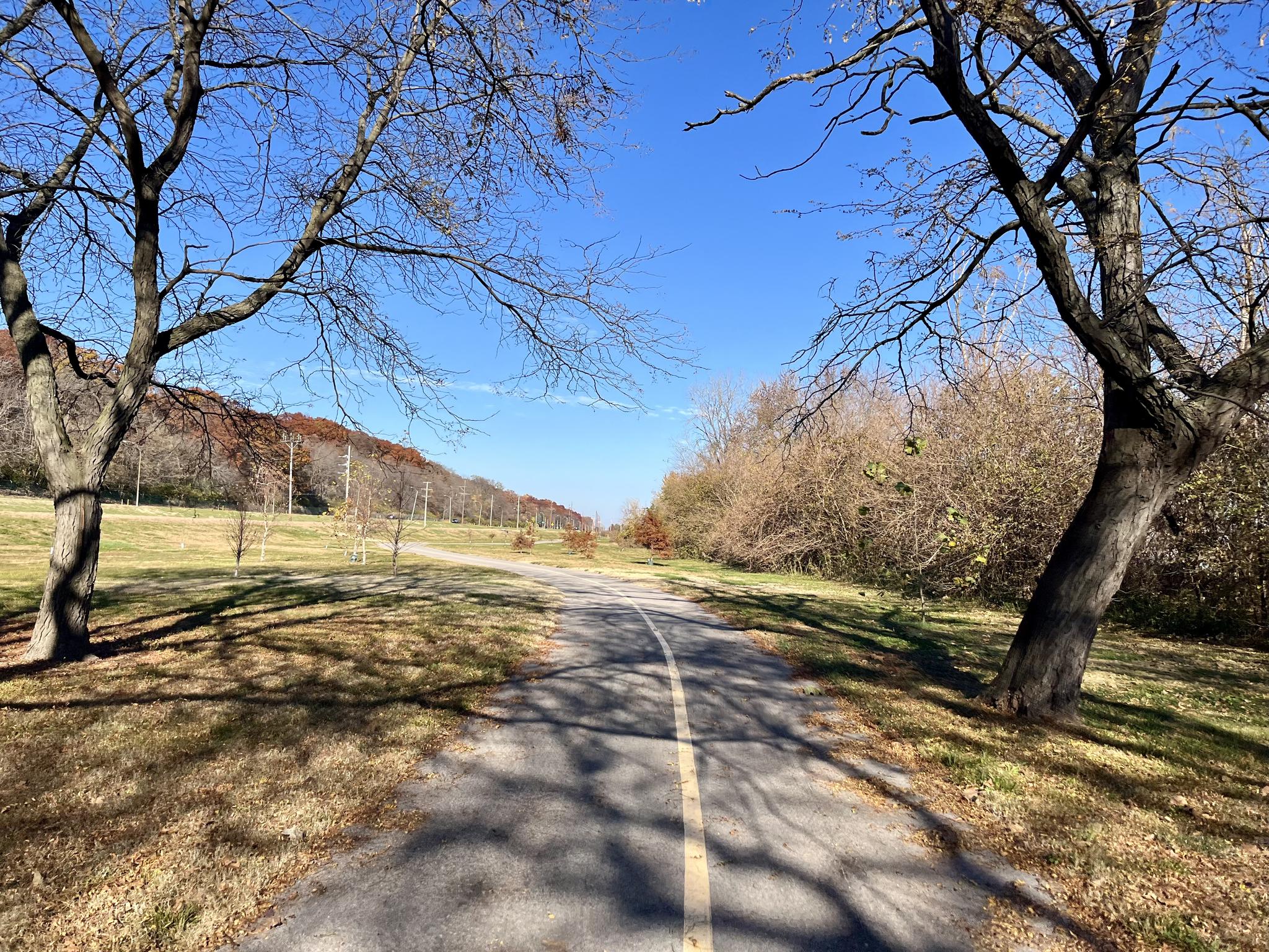 A paved path winds through a sunny, grassy park with bare trees.