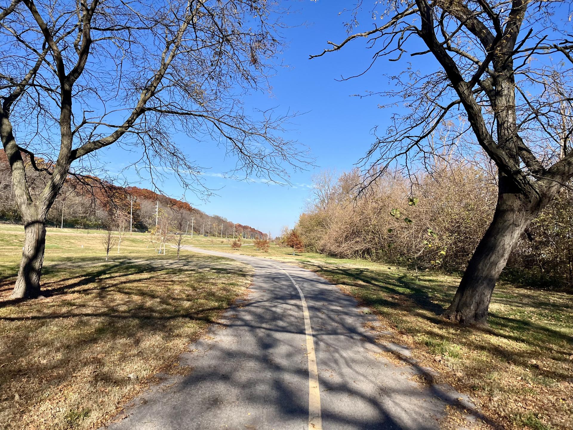 A paved path winds through a sunny, grassy park with bare trees.
