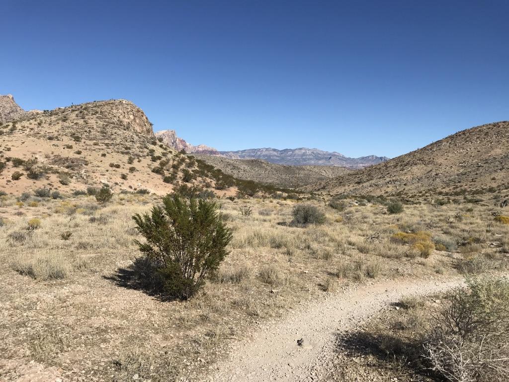 A dirt trail winding through a desert valley with mountains under a clear blue sky.