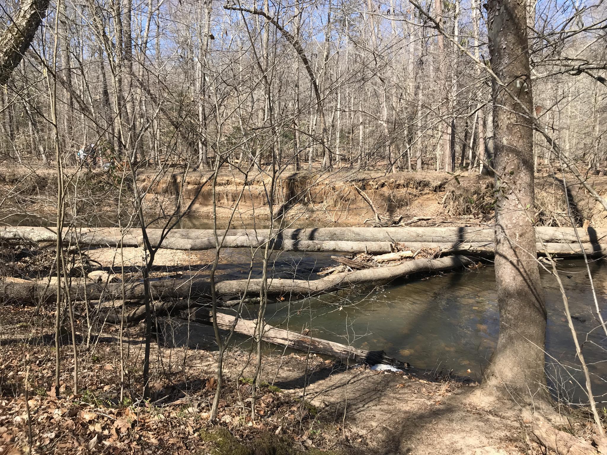 A river flows past bare trees and logs used for erosion control.