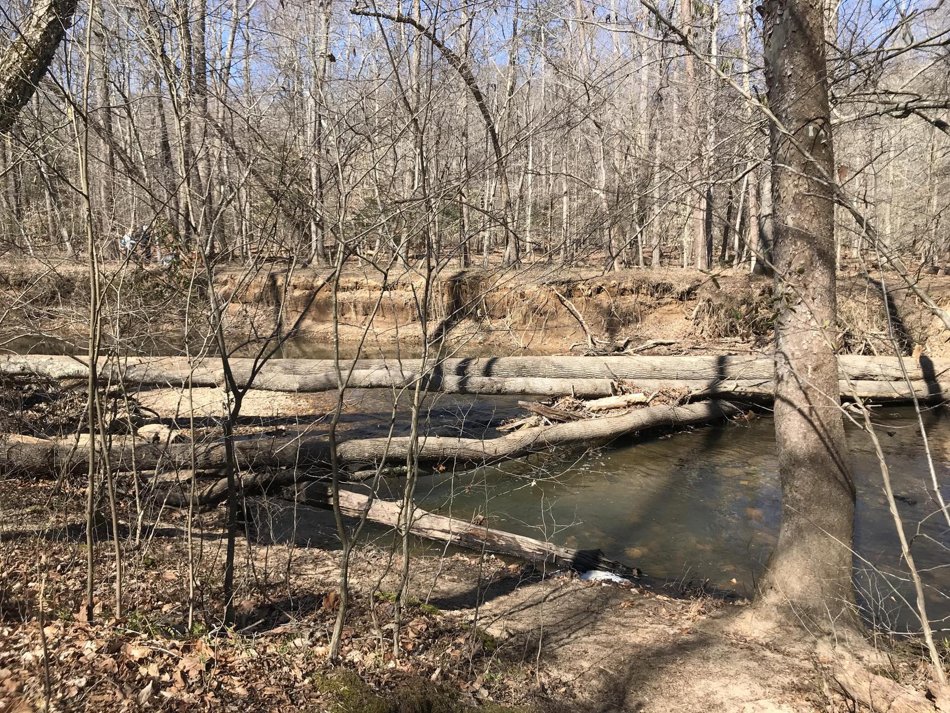 A river flows past bare trees and logs used for erosion control.