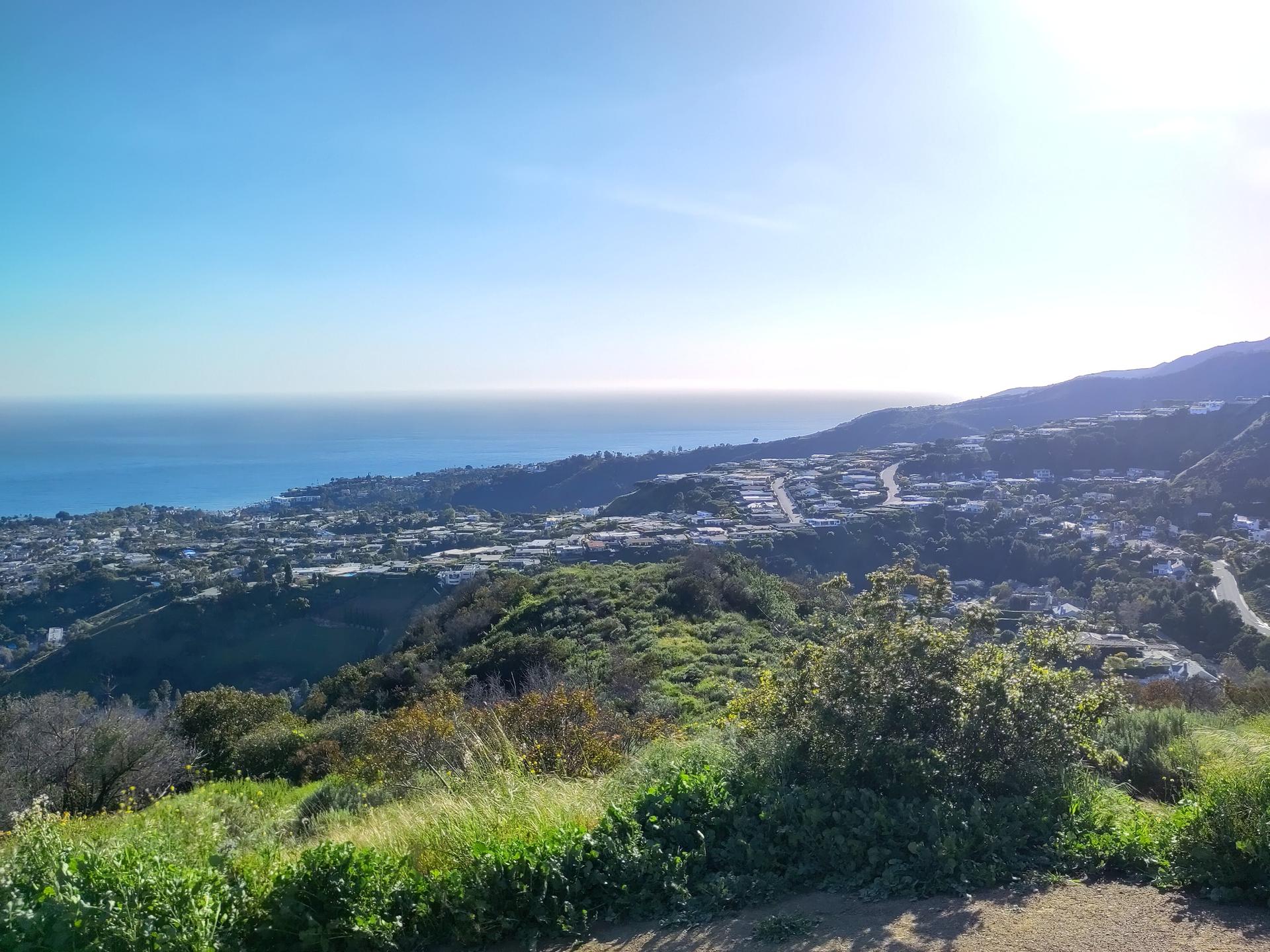 A panoramic view of a coastal city and ocean from a green, sunny hillside.