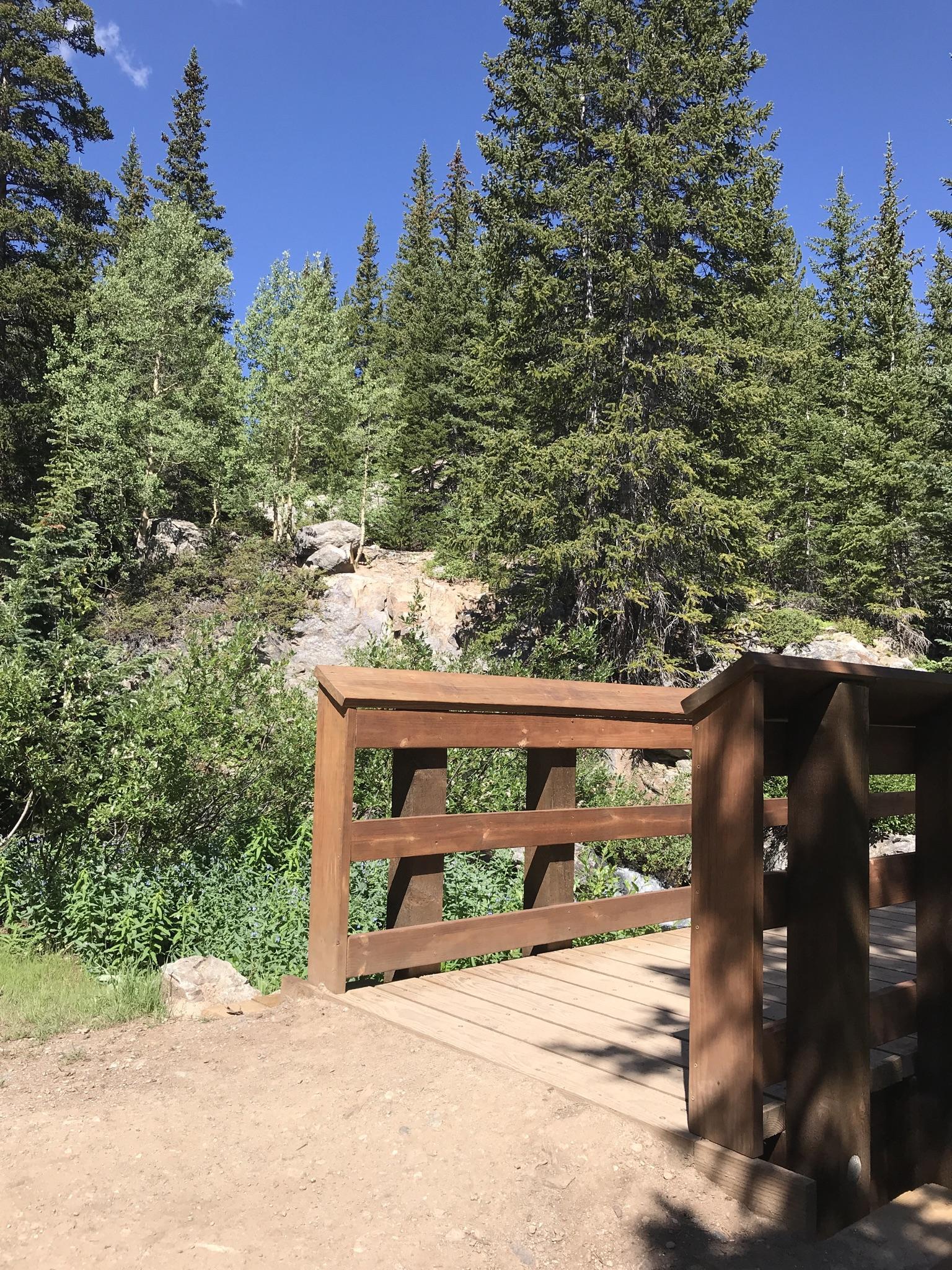 A wooden footbridge on a dirt path, surrounded by lush green pine trees.