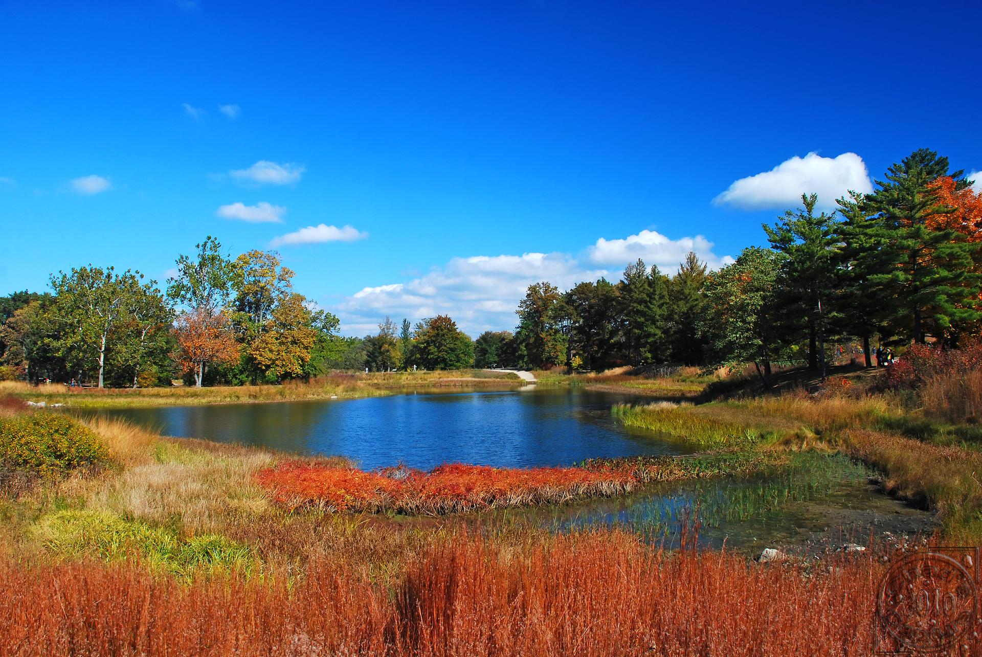 A vibrant pond surrounded by colorful autumn foliage under a bright blue sky.