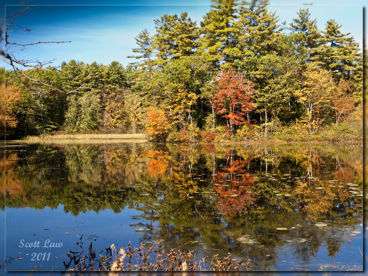 Calm lake reflecting vibrant autumn trees under a bright blue sky.