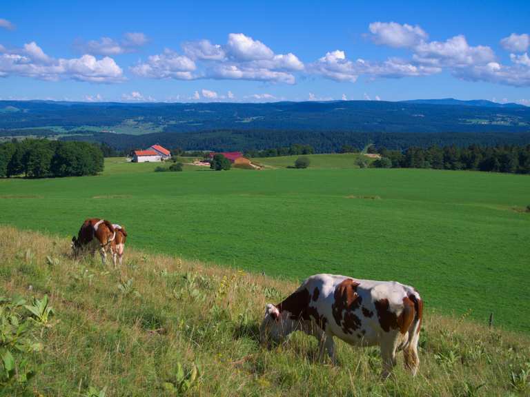 le-cr-t-monniot-wanderungen-und-rundwege-komoot