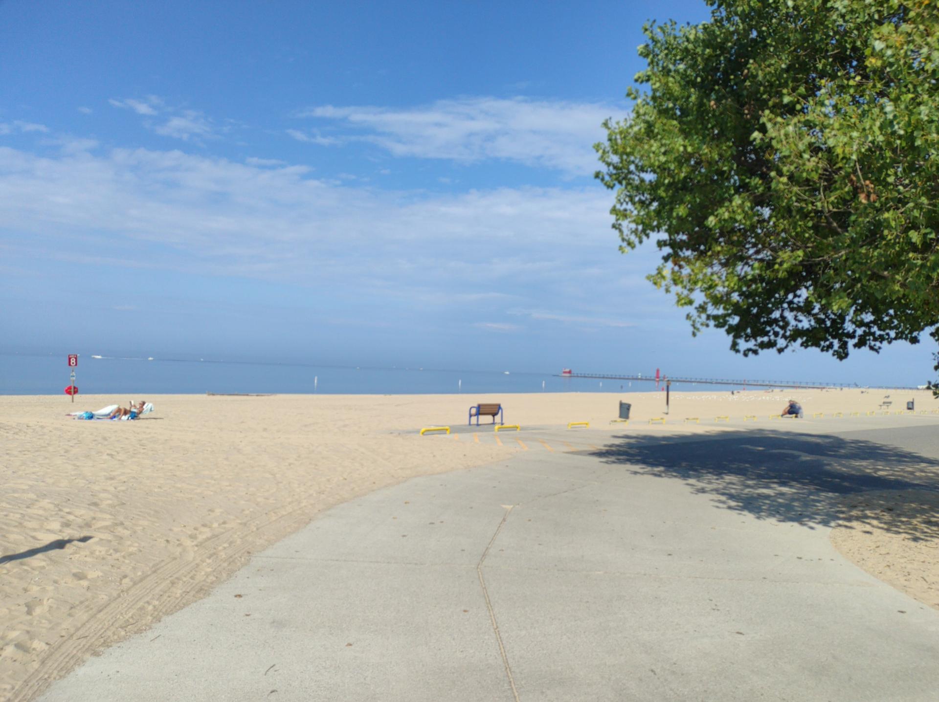 Sunny beach with a paved path, calm water, and a green tree.