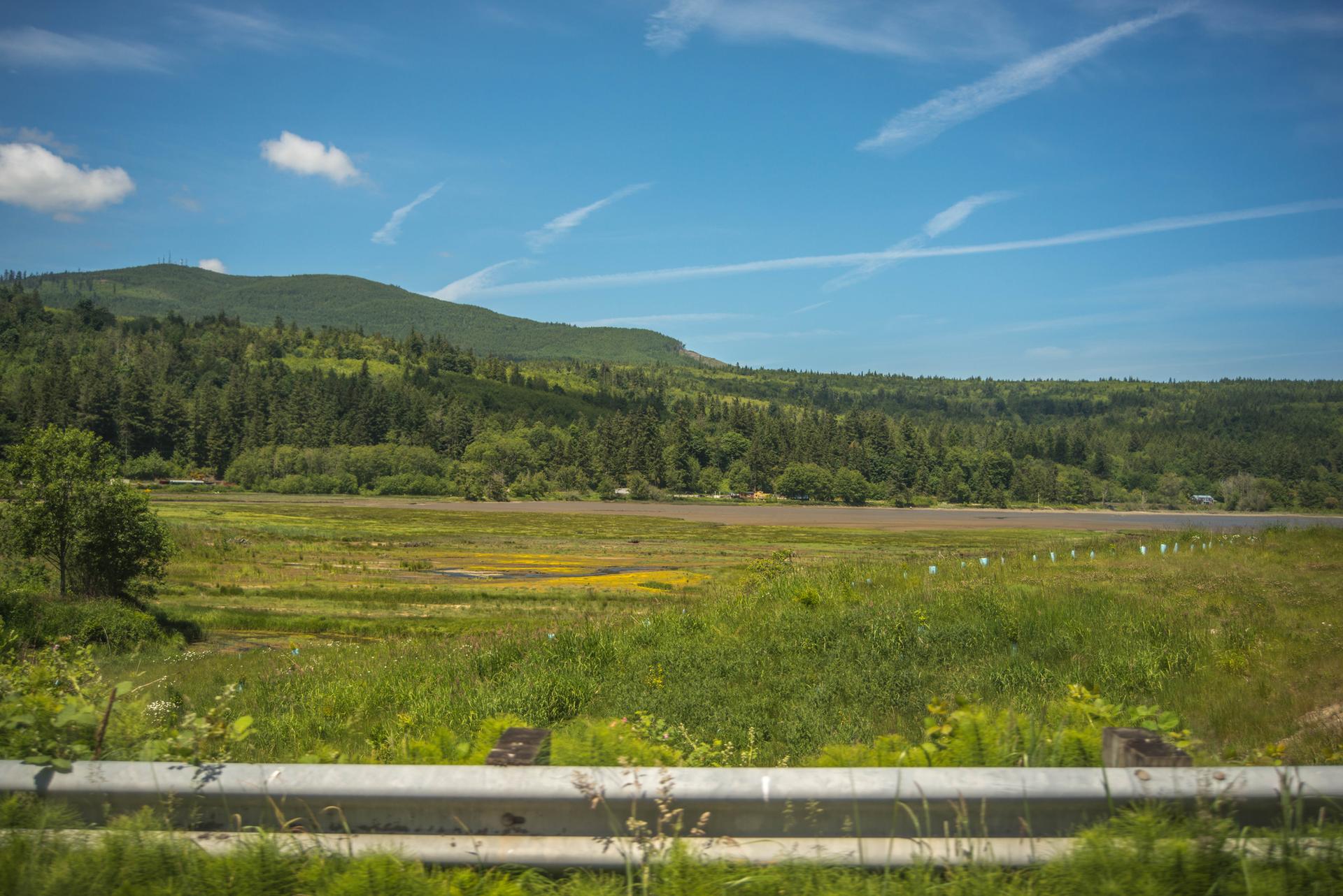 Expansive green valley with a forested mountain under a bright blue sky.