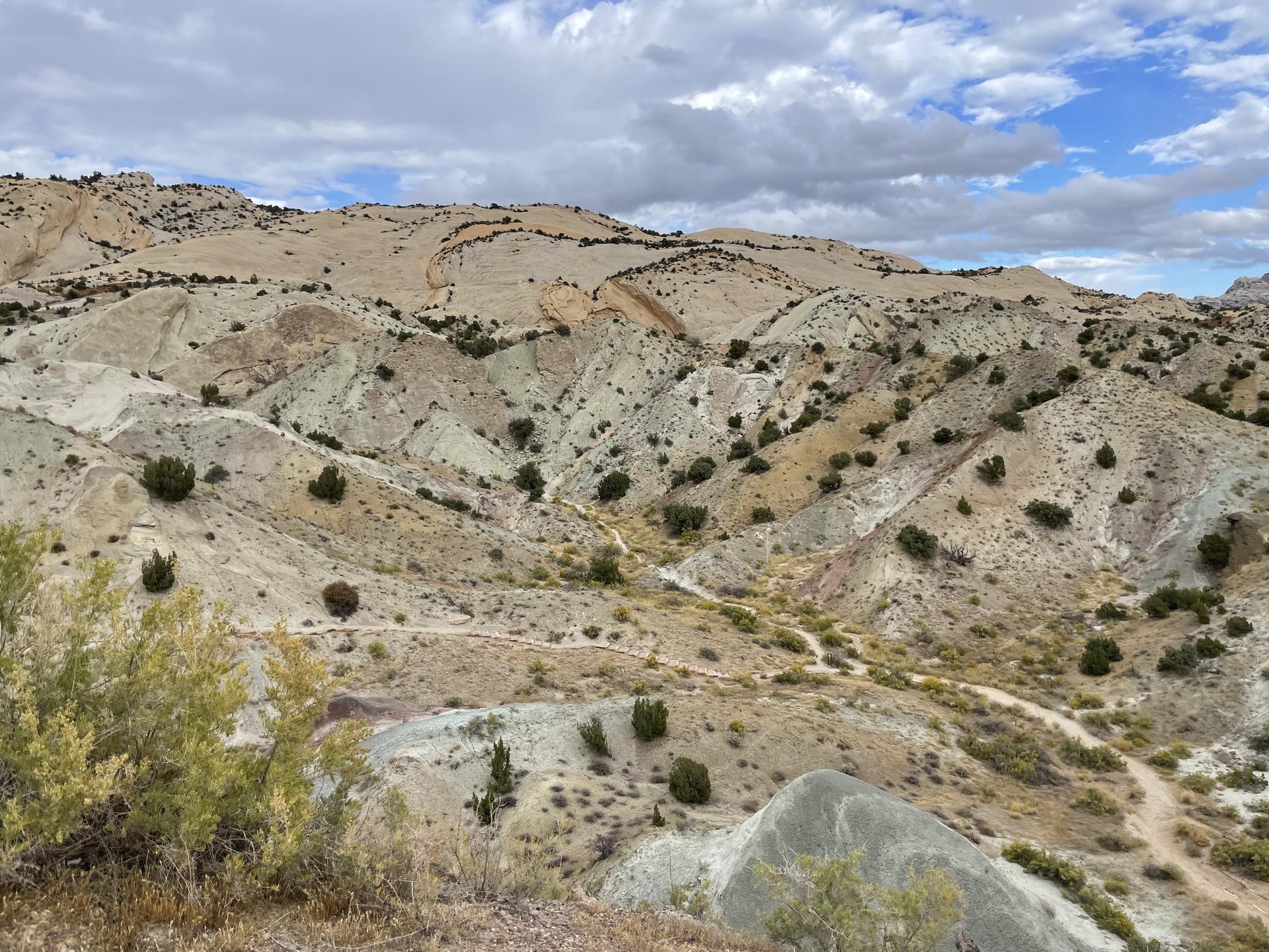 Rolling arid hills with winding dirt paths and scattered green bushes.