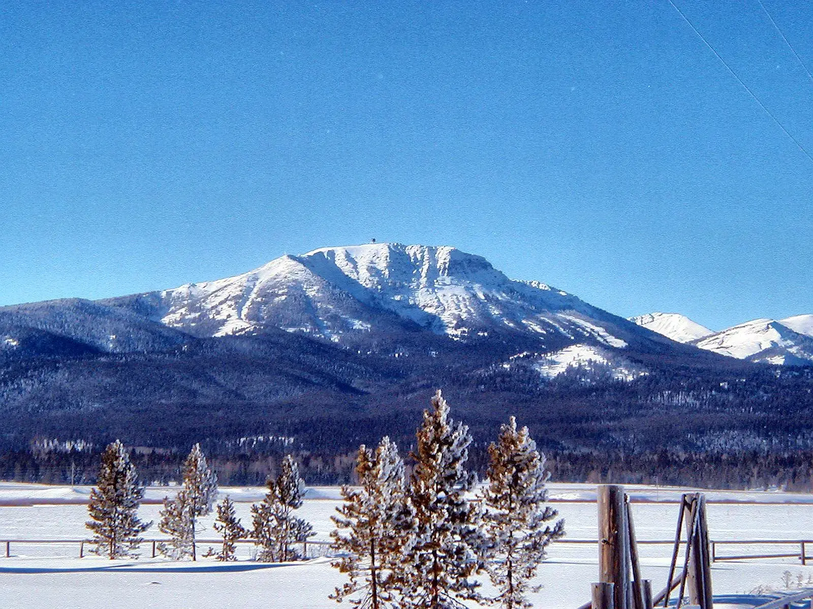 Bright winter day with snow-capped mountains, evergreen trees, and a snowy field.