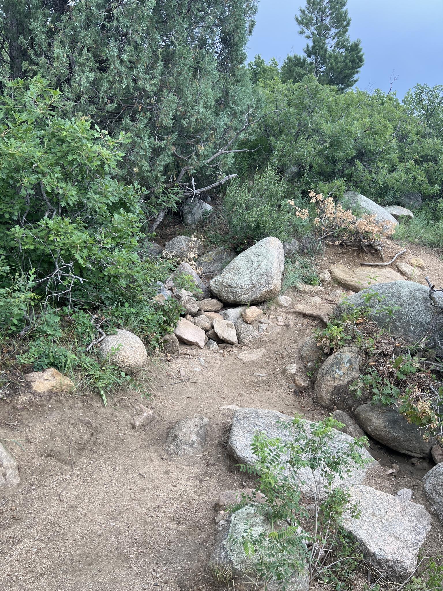 A rocky, winding dirt path surrounded by green bushes and large boulders.