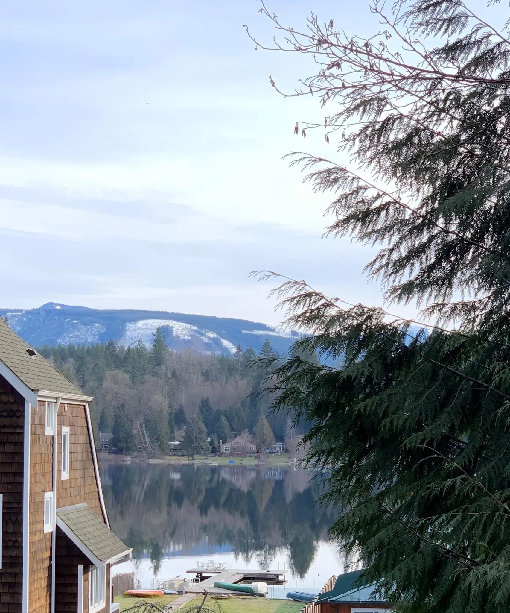 Overcast view of a lake with houses, boats, and distant snow-capped mountains.