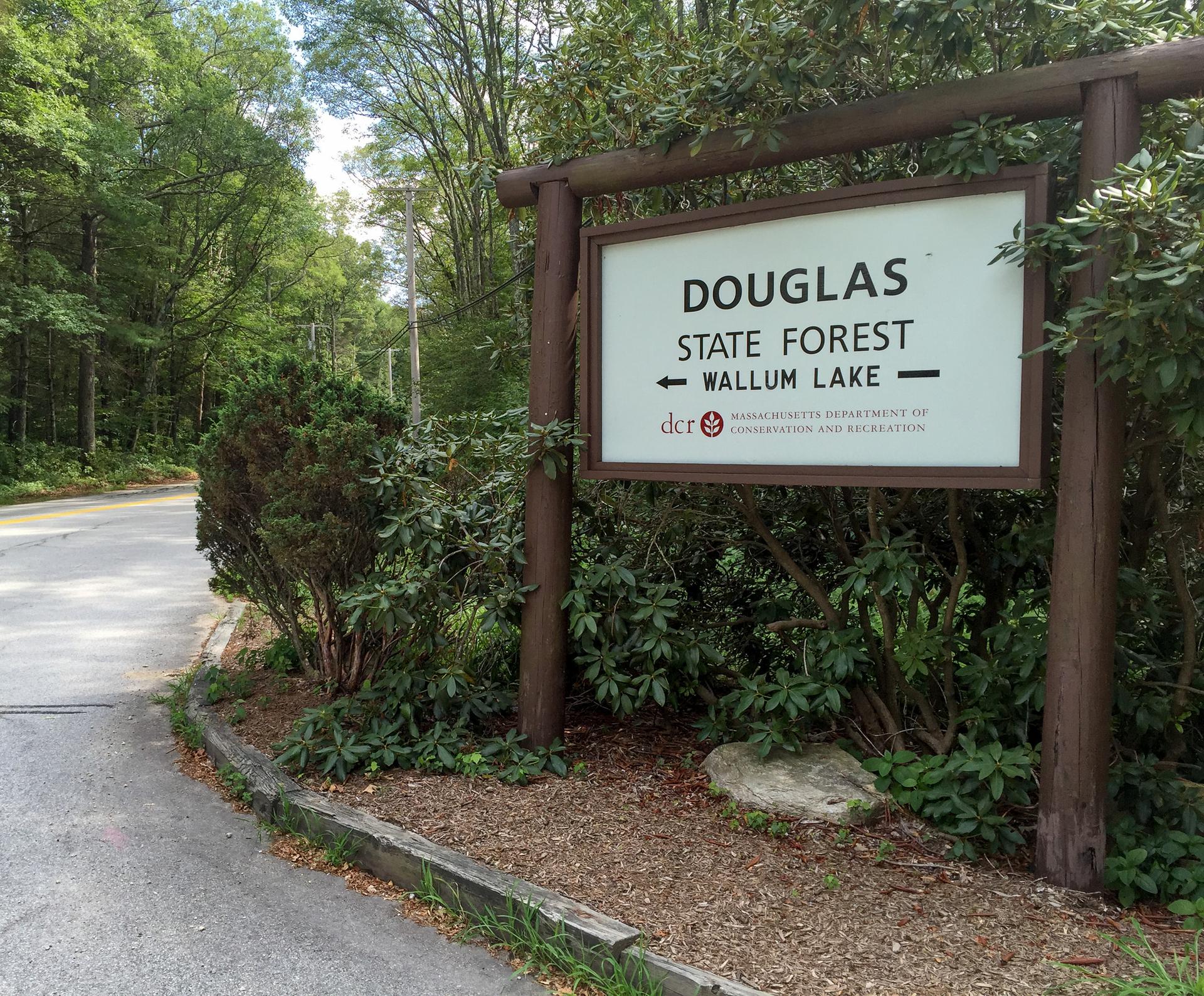 Wooden sign with text, surrounded by green bushes next to a paved road.