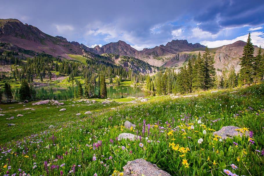 Vibrant wildflowers in a meadow overlooking a lake and mountains under clouds.