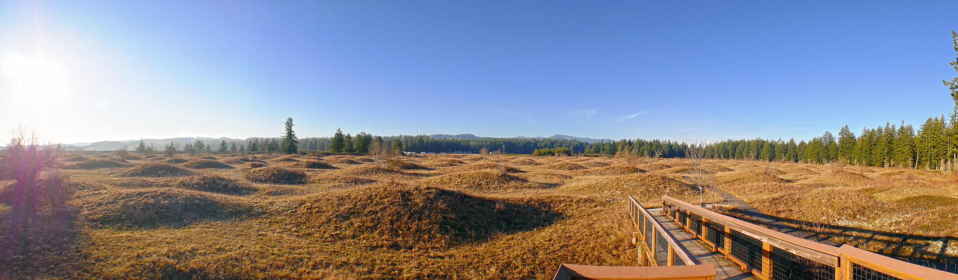 Panoramic view of golden-brown mounds and a boardwalk under a bright blue sky.