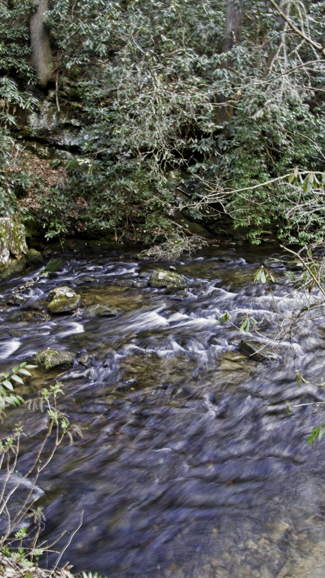 A fast-flowing rocky stream with blurred water surrounded by dense green foliage.