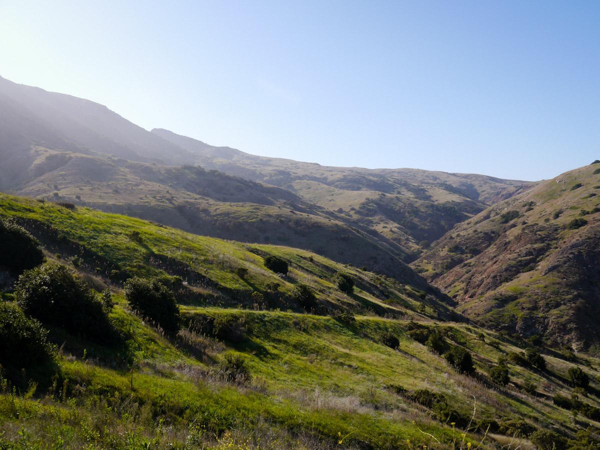 Sunny, rolling hills covered in green and dry grass under a clear sky.