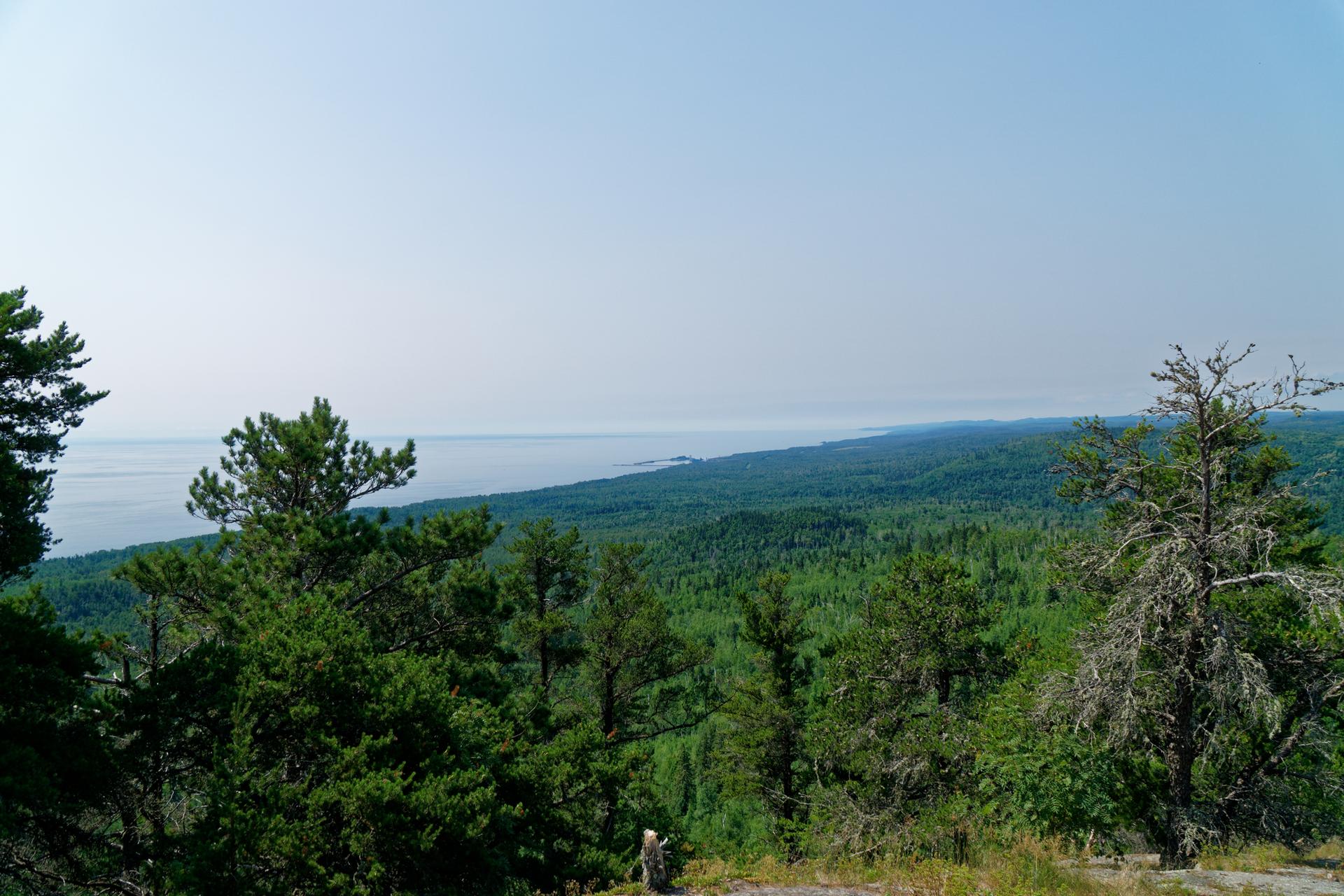A panoramic view of a vast green forest meeting a distant body of water under a clear sky, with a person walking below.