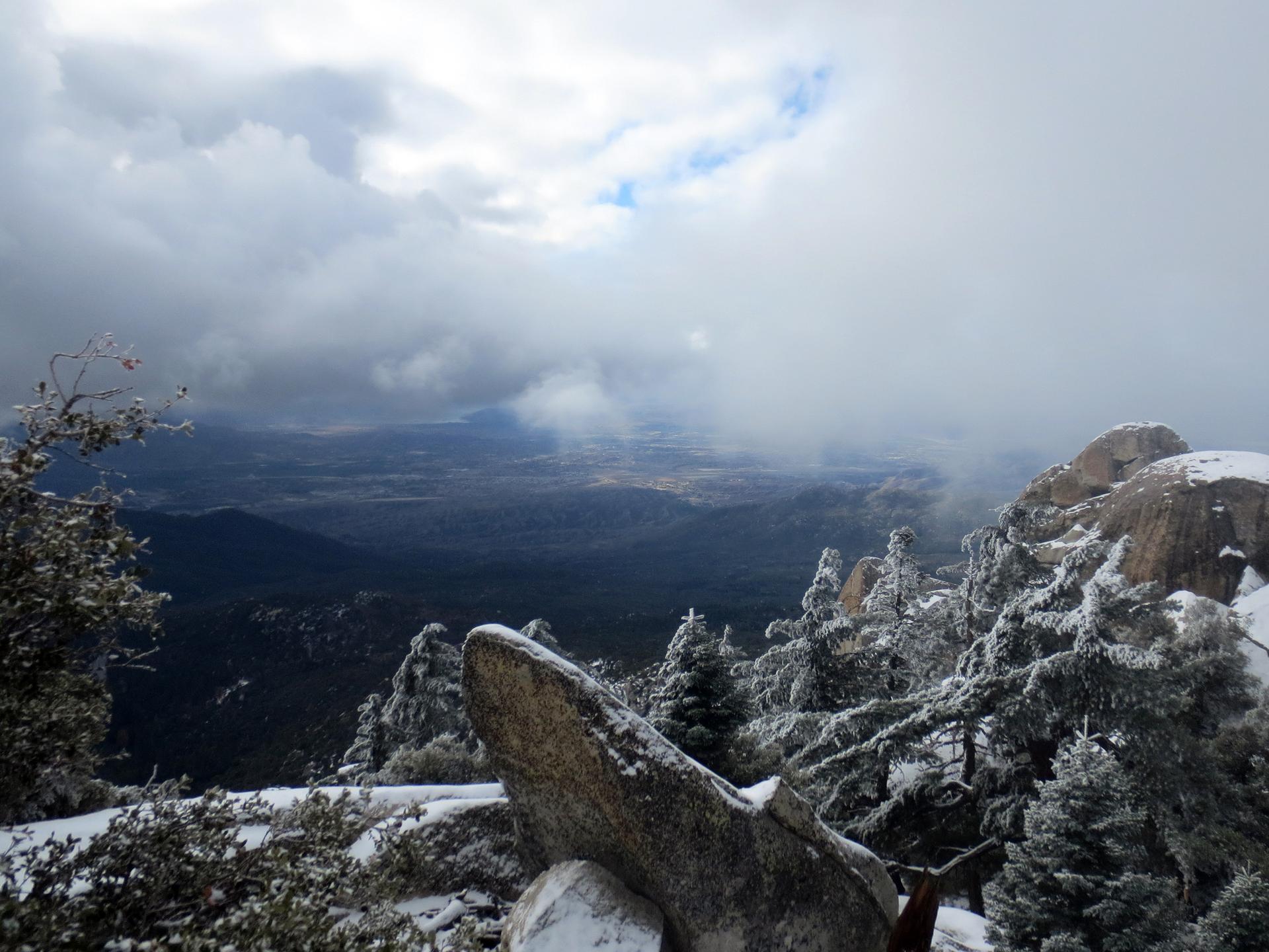 Snowy mountain peak with frosted trees and rocks under a cloudy sky.