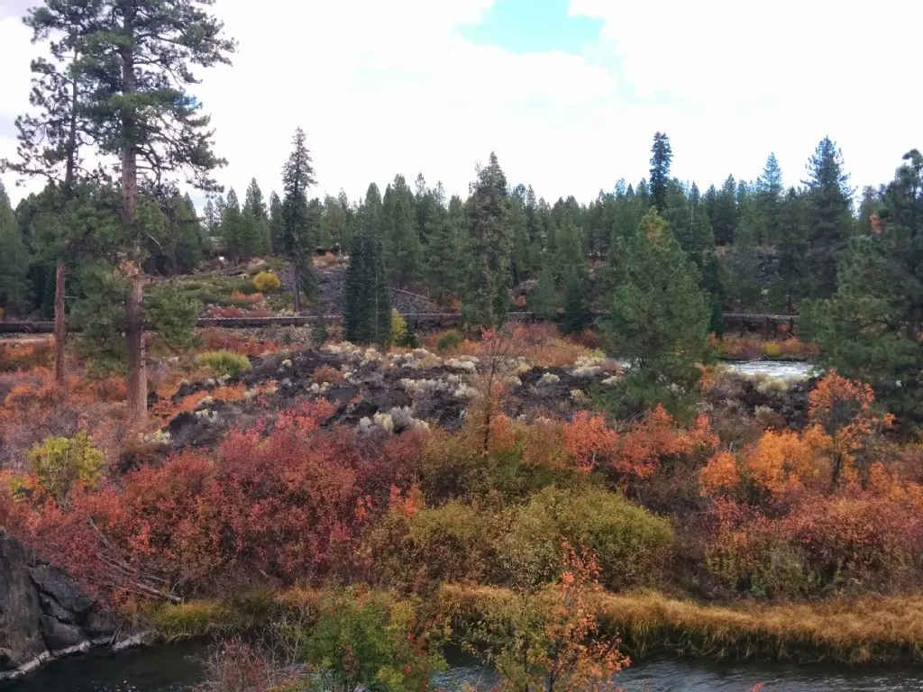 River flowing through a forest with vibrant red and orange autumn foliage.