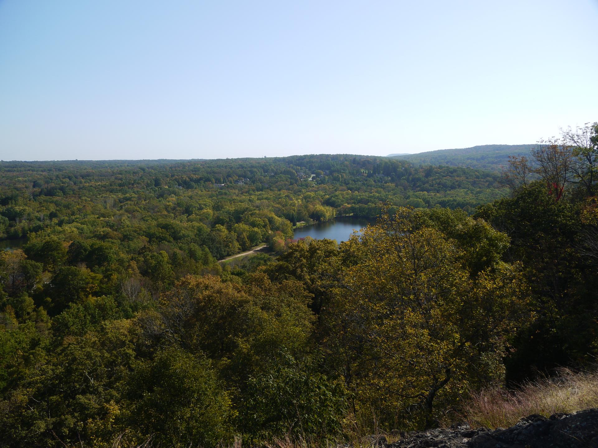 Panoramic view of a small lake nestled within a vast green forest.