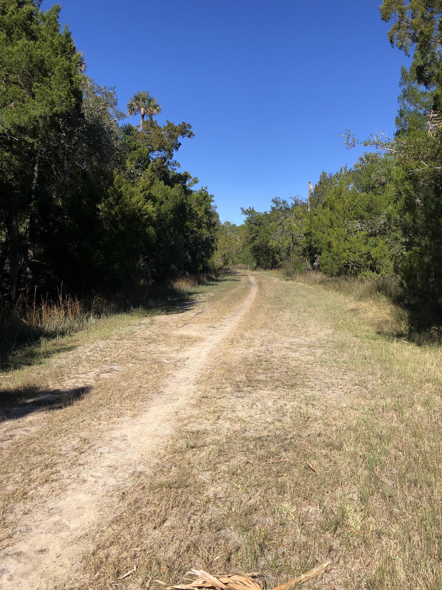 A wide dirt path through dry grass and trees under a clear blue sky.