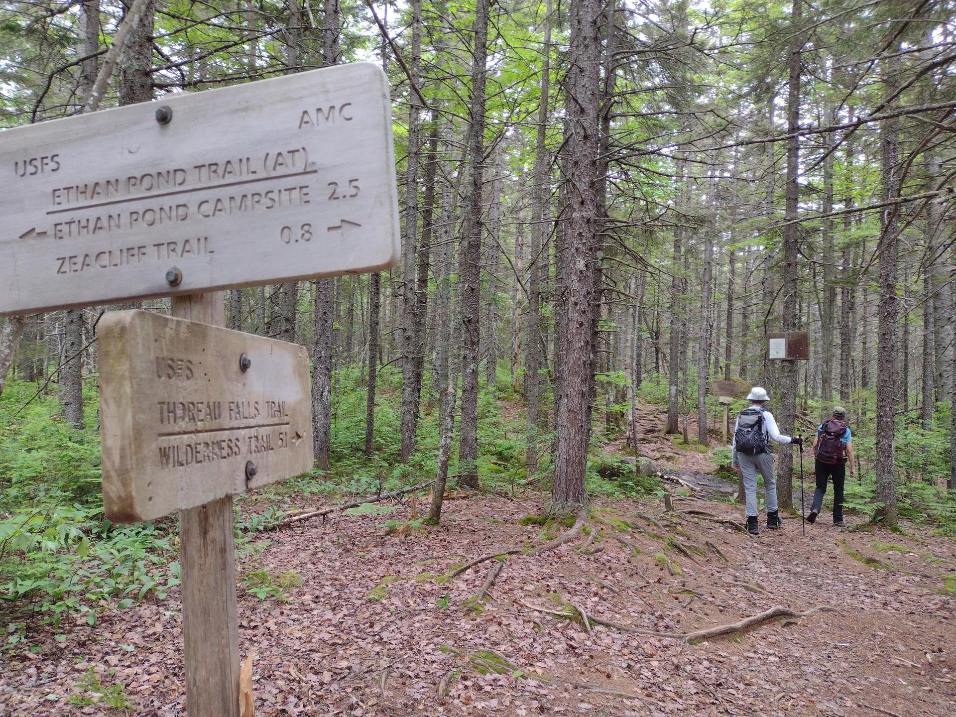 Two hikers on a forest trail with wooden directional signs on a cloudy day.