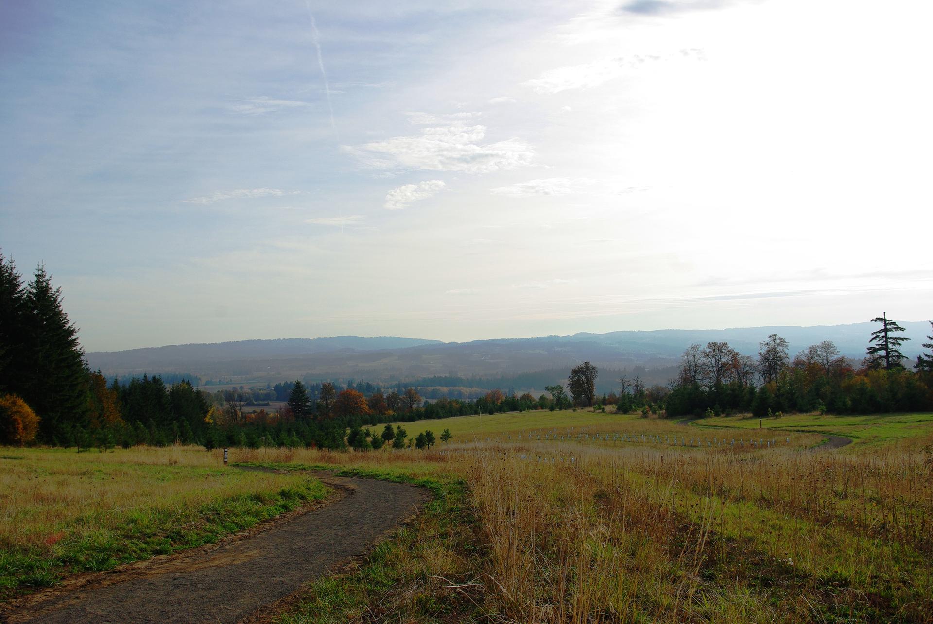 Dirt path through a sunlit grassy field with distant hills and trees.