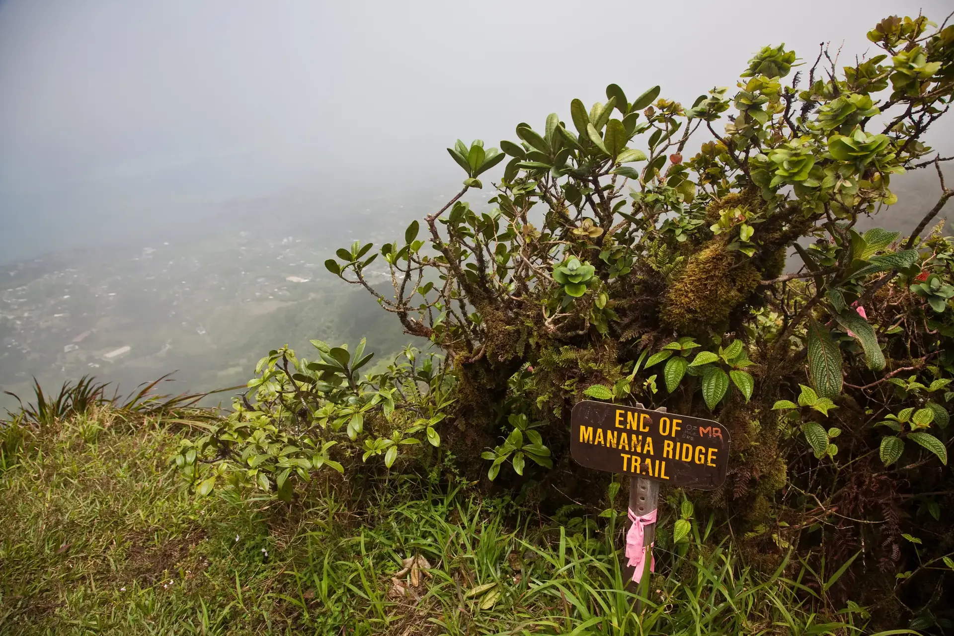 Wooden sign among dense green foliage on a misty, steep mountain edge.