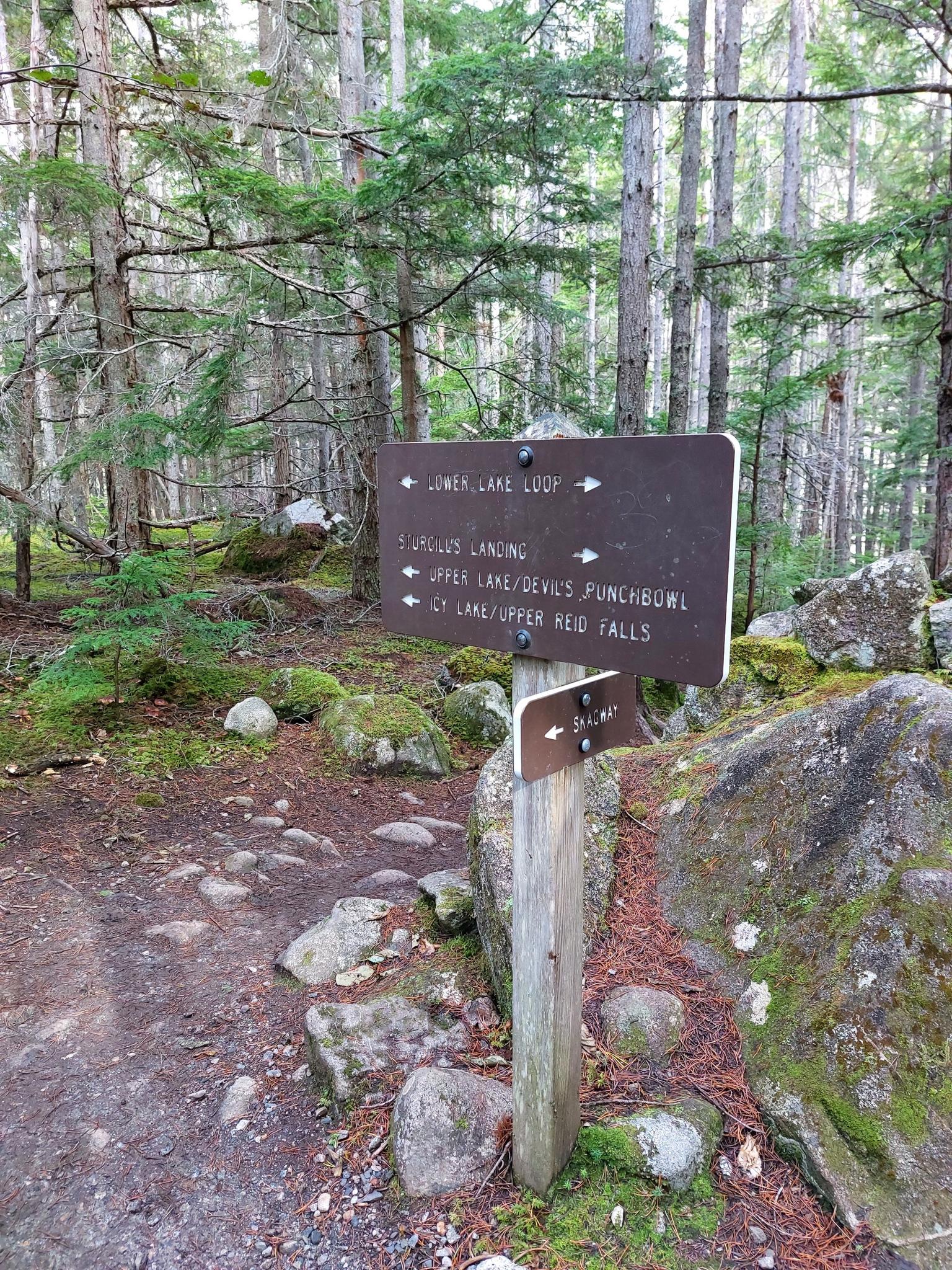 A wooden trail sign in a dense forest with tall trees and mossy rocks.