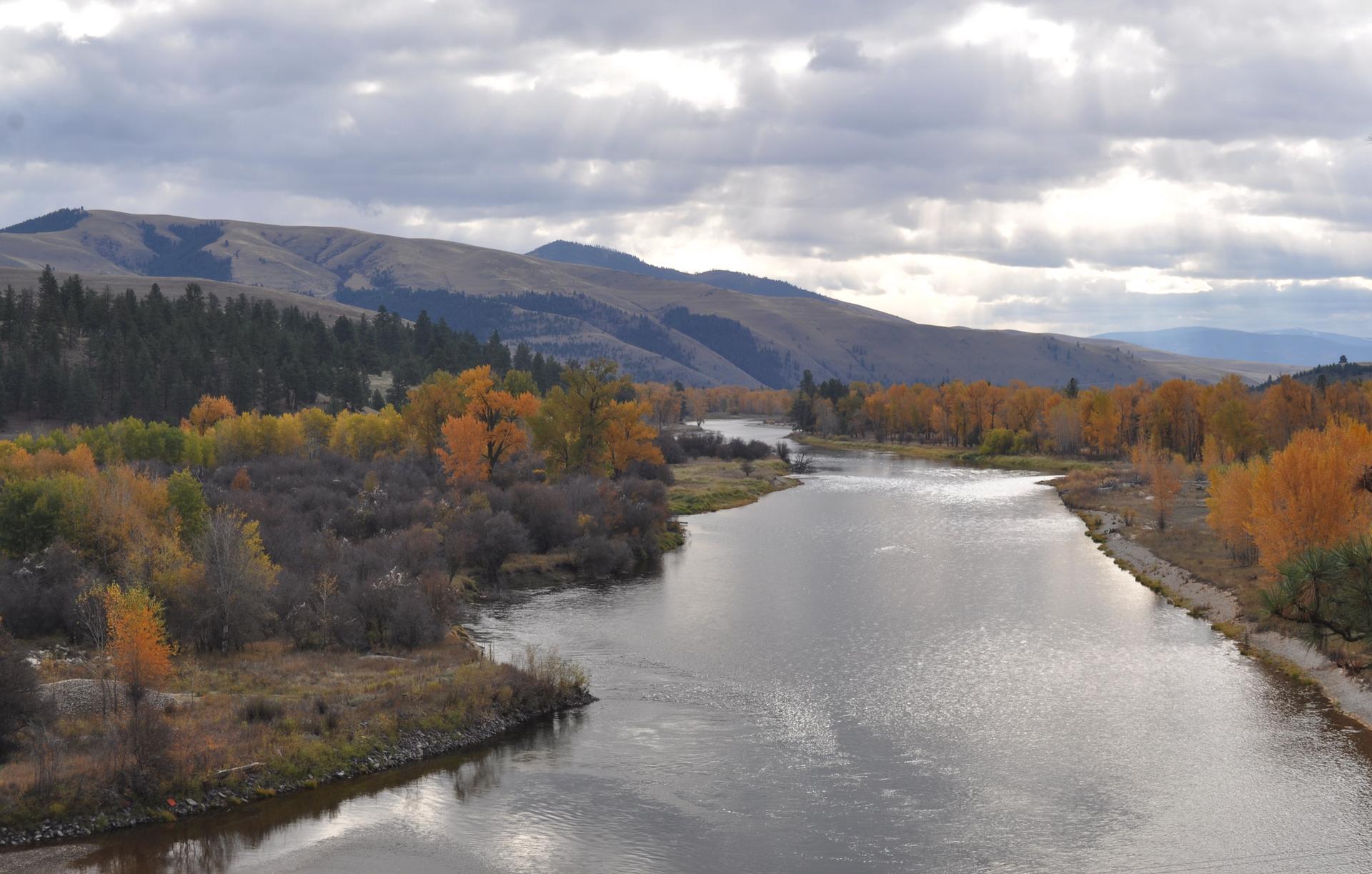 River flowing through a valley with vibrant autumn trees under cloudy skies.