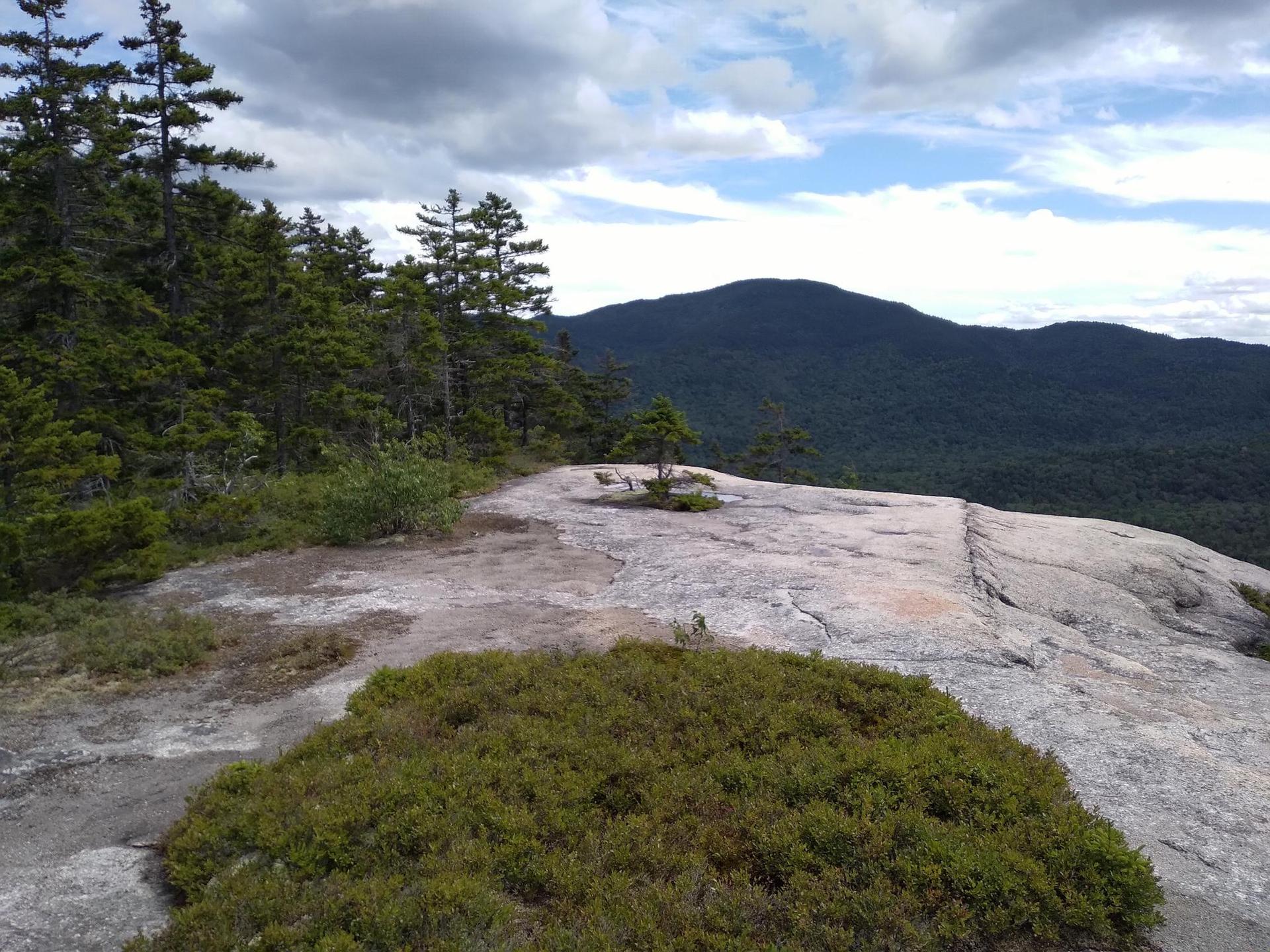 Rocky mountain top with sparse trees, overlooking forested mountains under cloudy sky.