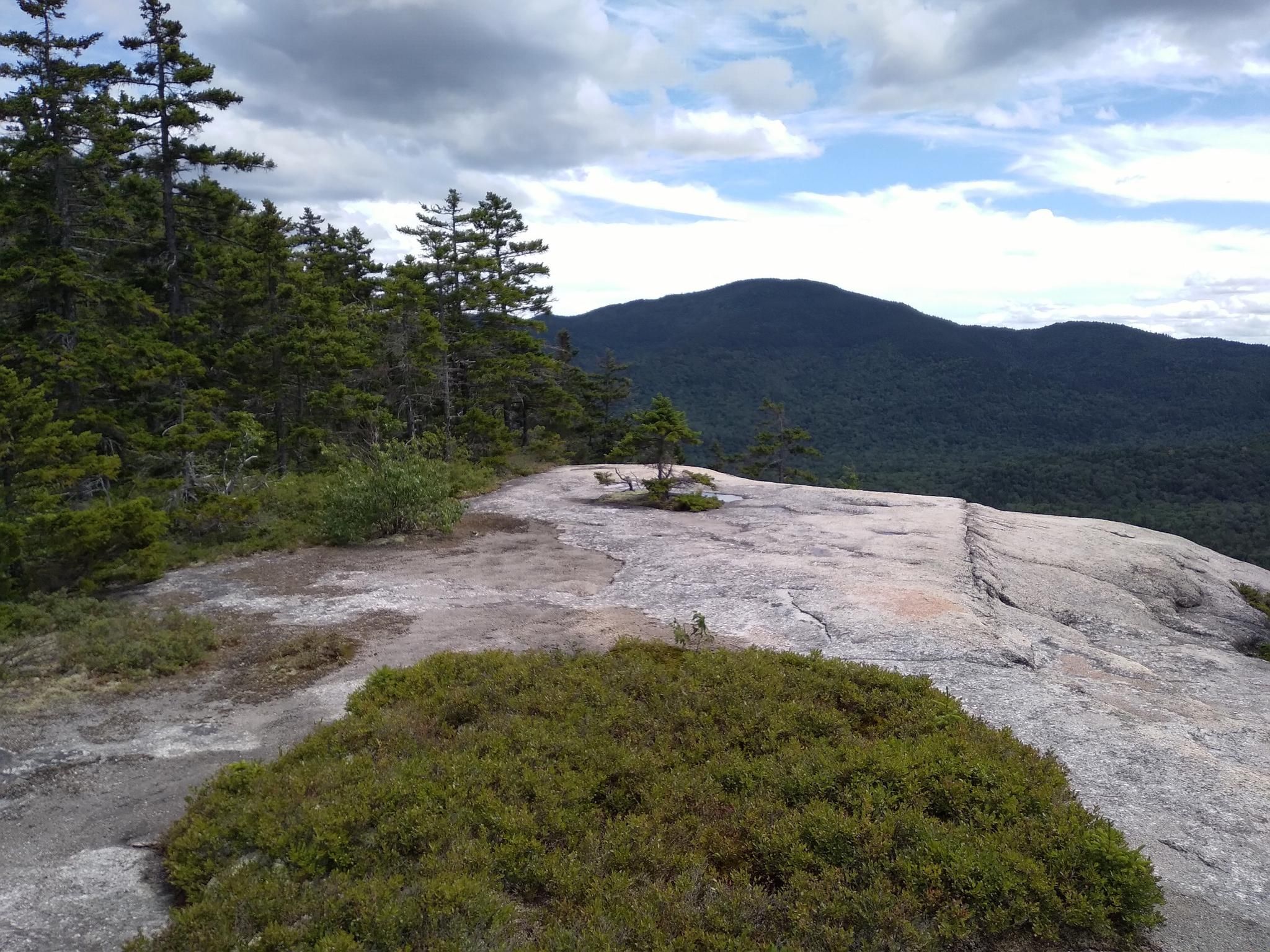 Rocky mountain top with sparse trees, overlooking forested mountains under cloudy sky. - Hedgehog Mountain via UNH Trail