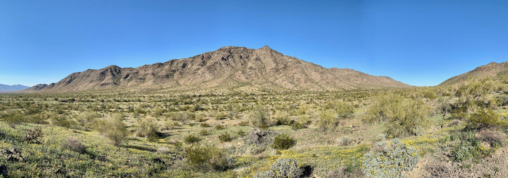Panoramic view of a desert mountain range under a clear blue sky.