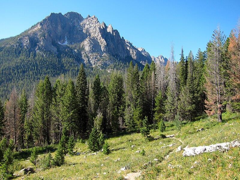 A rugged mountain overlooks a dense pine forest and grassy slope.