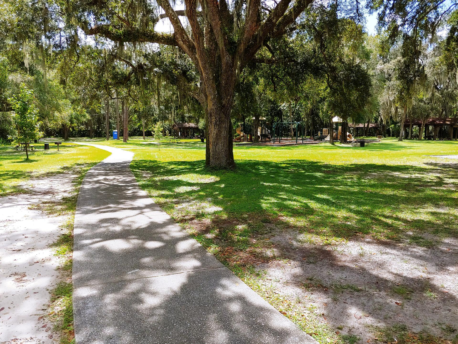 Paved path winding through a sunny park with large trees and grassy areas.