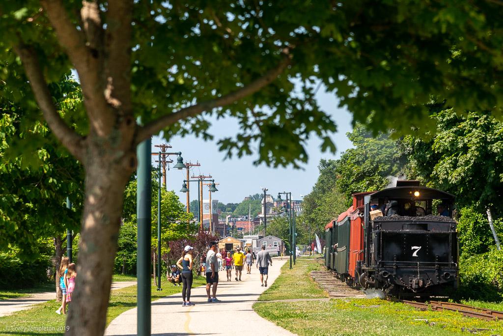 People walk on a paved path next to a train and lush green trees.