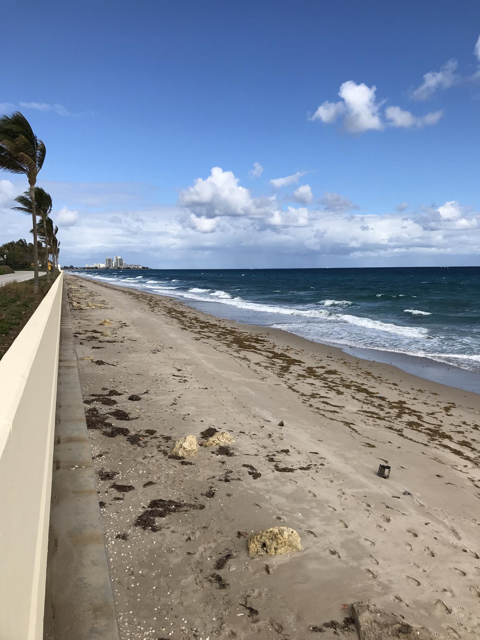 Wide sandy beach with waves, seaweed, and a distant city under blue sky.