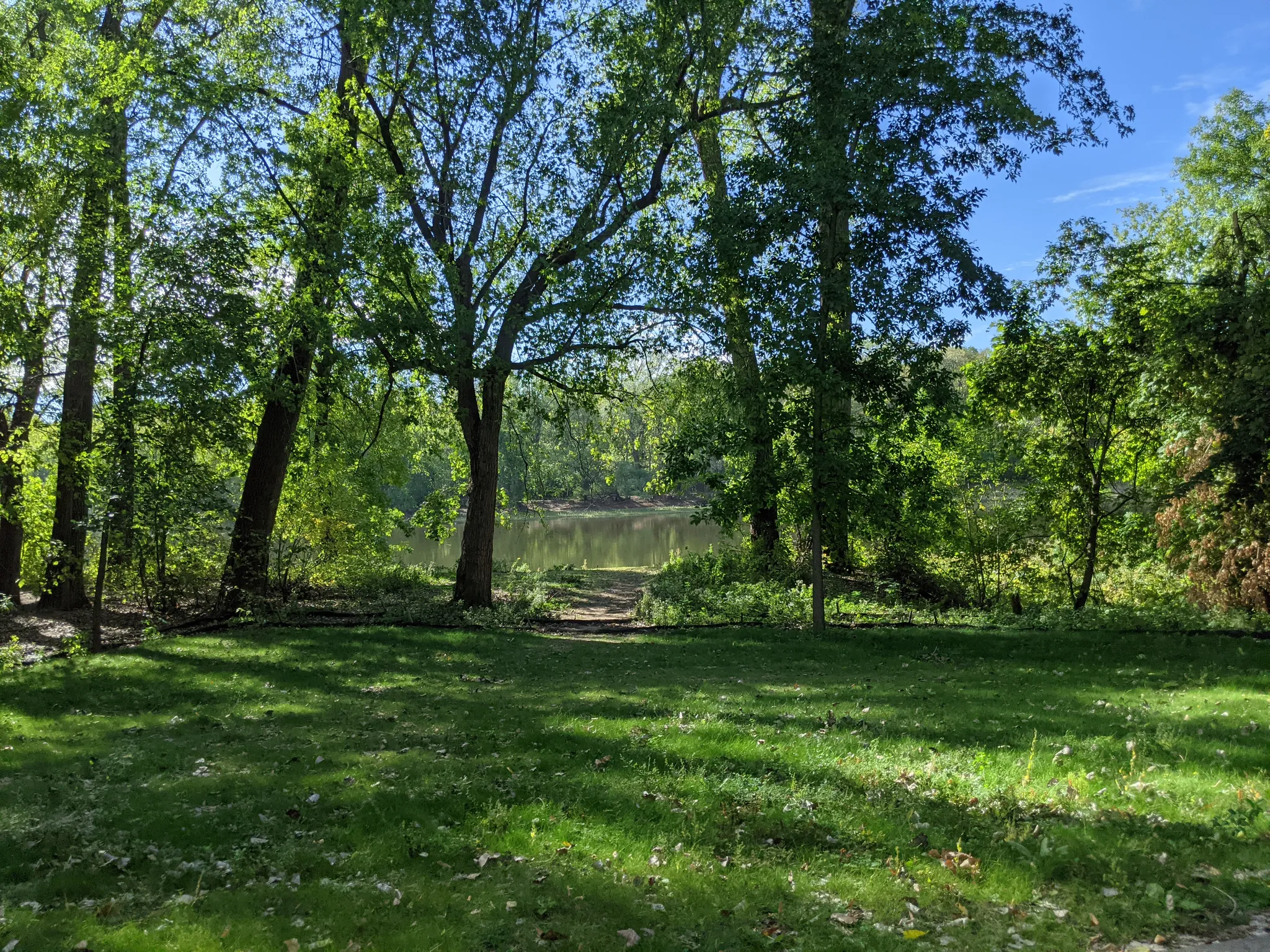 Grassy clearing surrounded by trees, leading to a calm body of water. - Mississippi River Regional Trail: Islands of Peace Loop