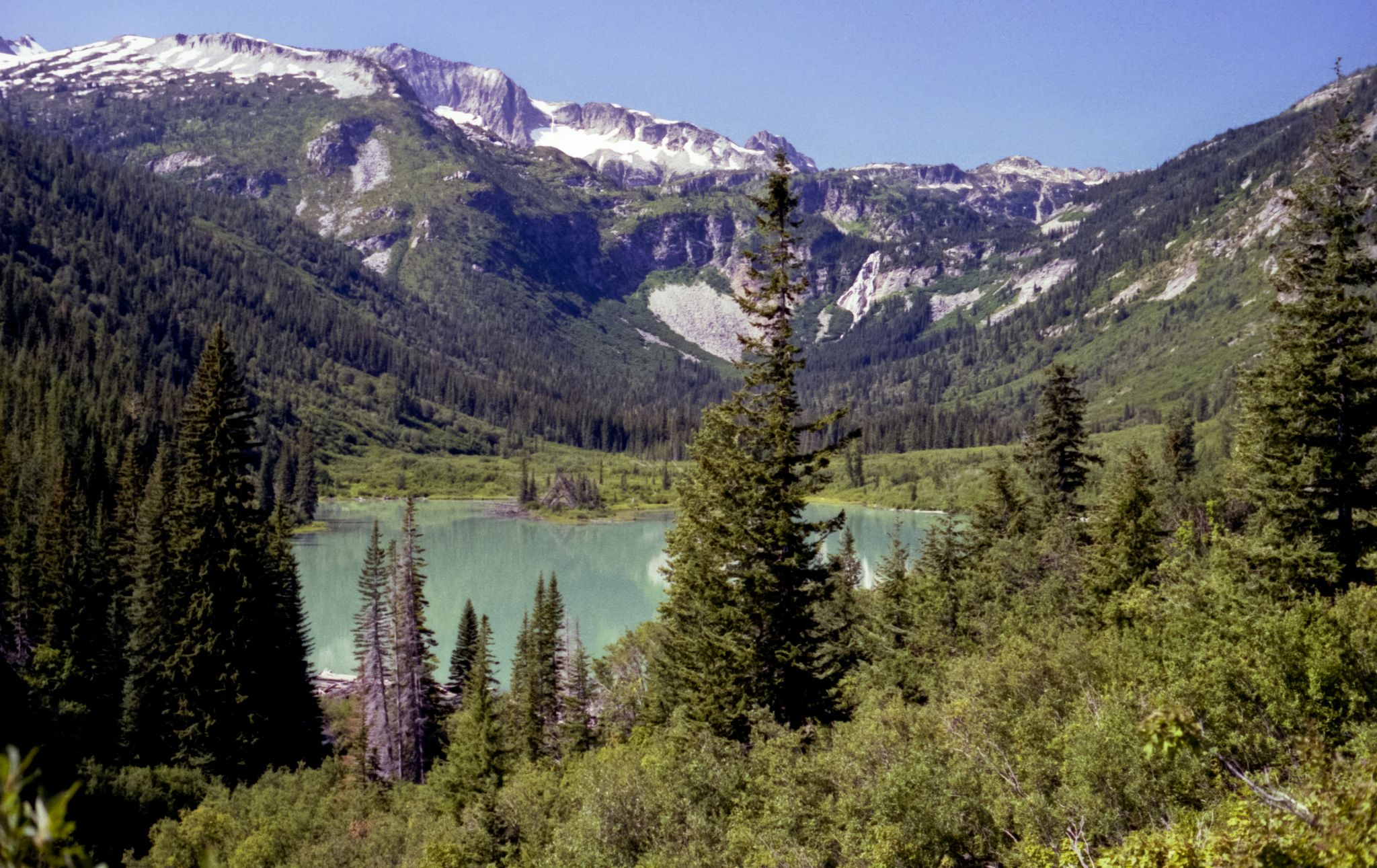 A turquoise lake nestled among dense forests and snow-capped mountains under bright daylight. - Cloudy Pass Trail