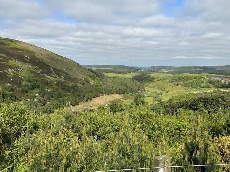 Linhope Scout & la vallée de Beamish depuis Hartside — Northumberland ...