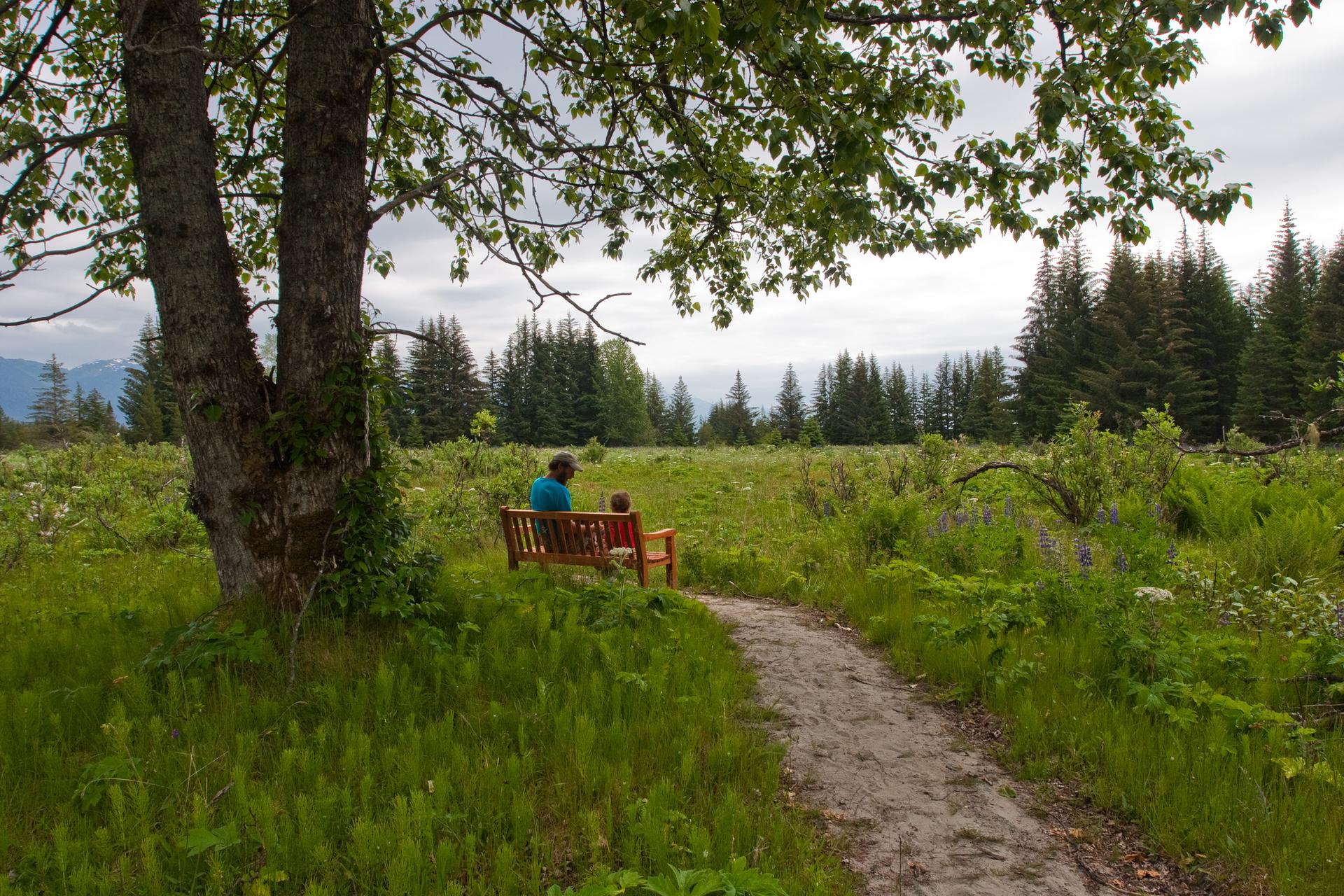 Two people sit on a bench under a large tree by a dirt path.