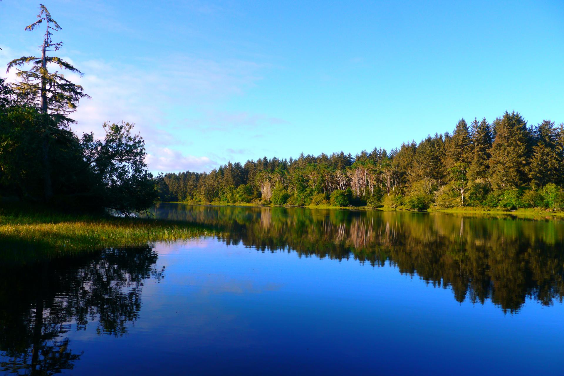 A tranquil lake perfectly reflects a lush forest under a bright blue sky.