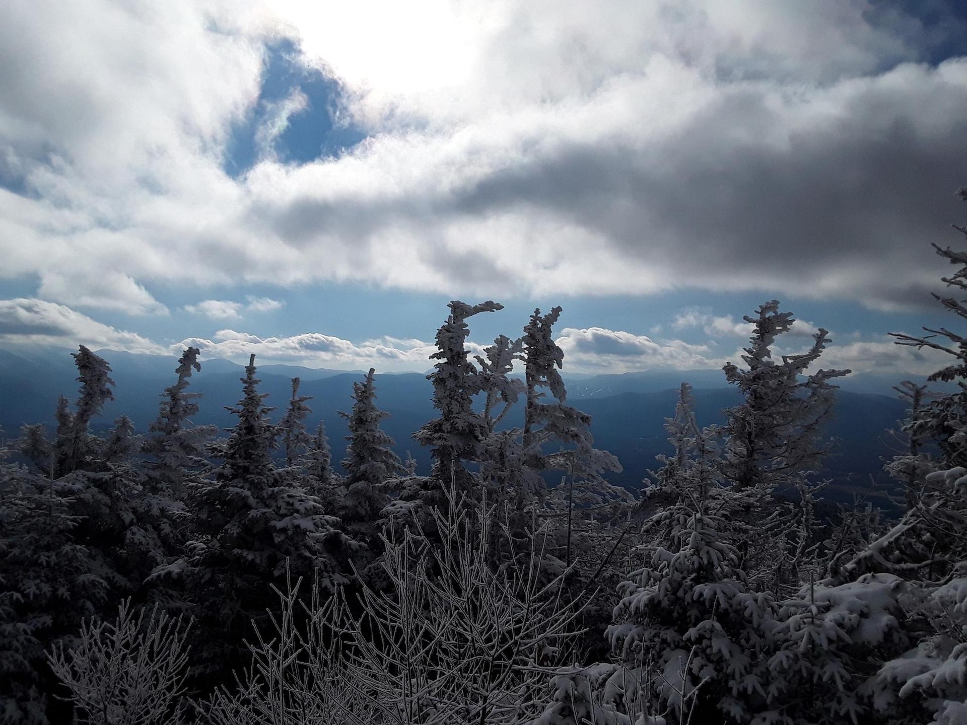 Snow-dusted evergreen trees against a cloudy sky and distant mountains.