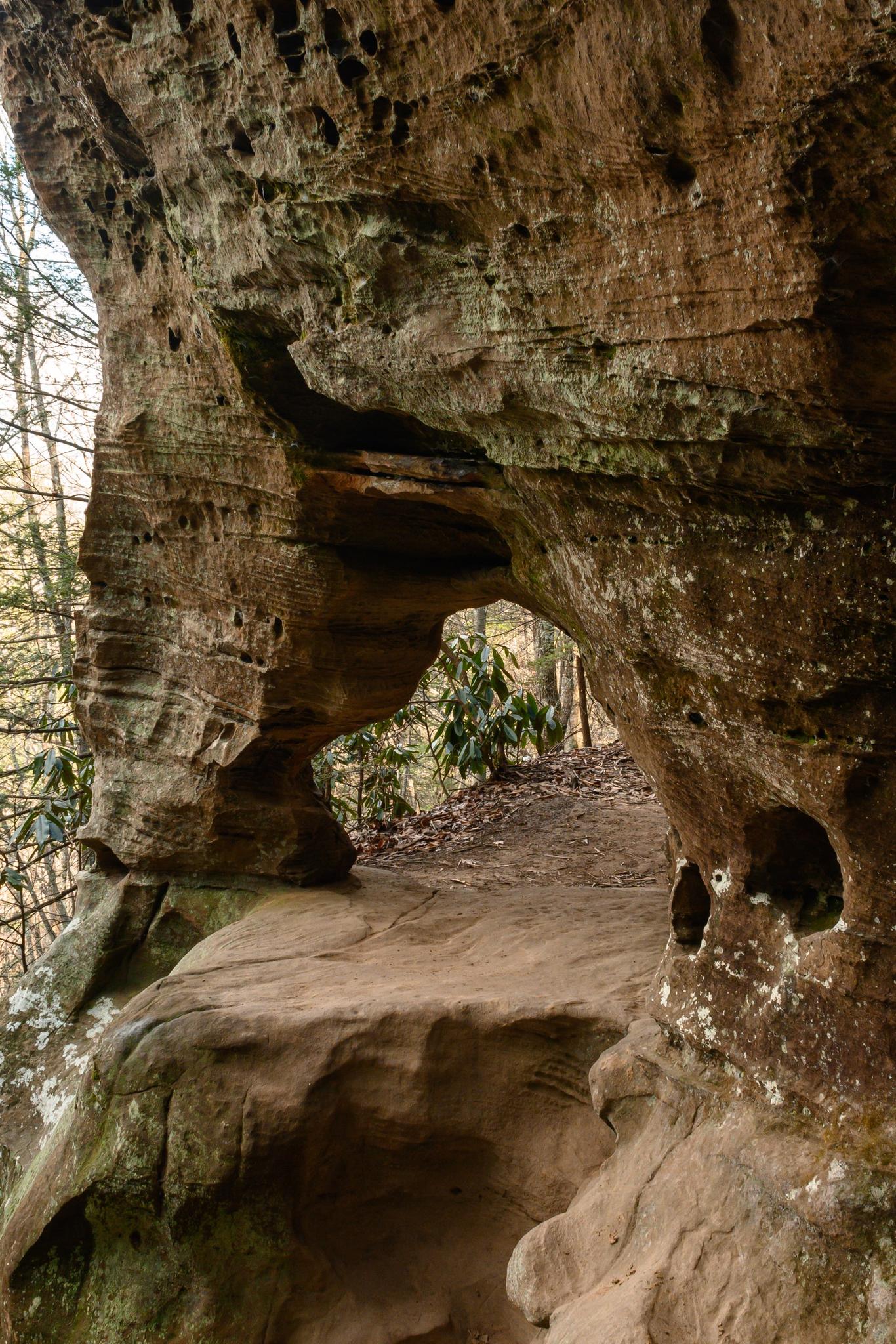 Natural rock arch formation with a view of trees through the opening.
