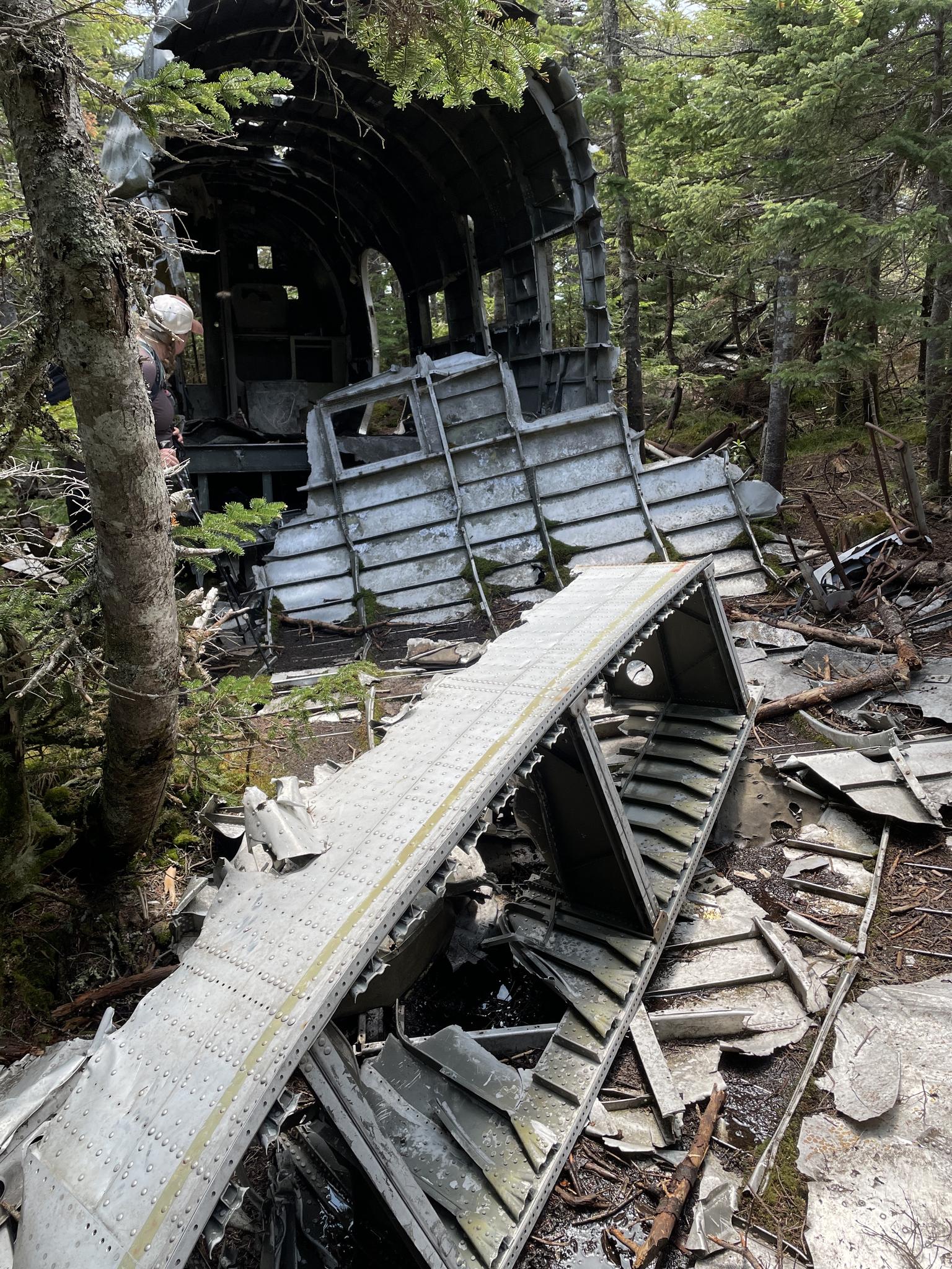 Aircraft wreckage scattered in a dense, shaded forest with a person nearby.