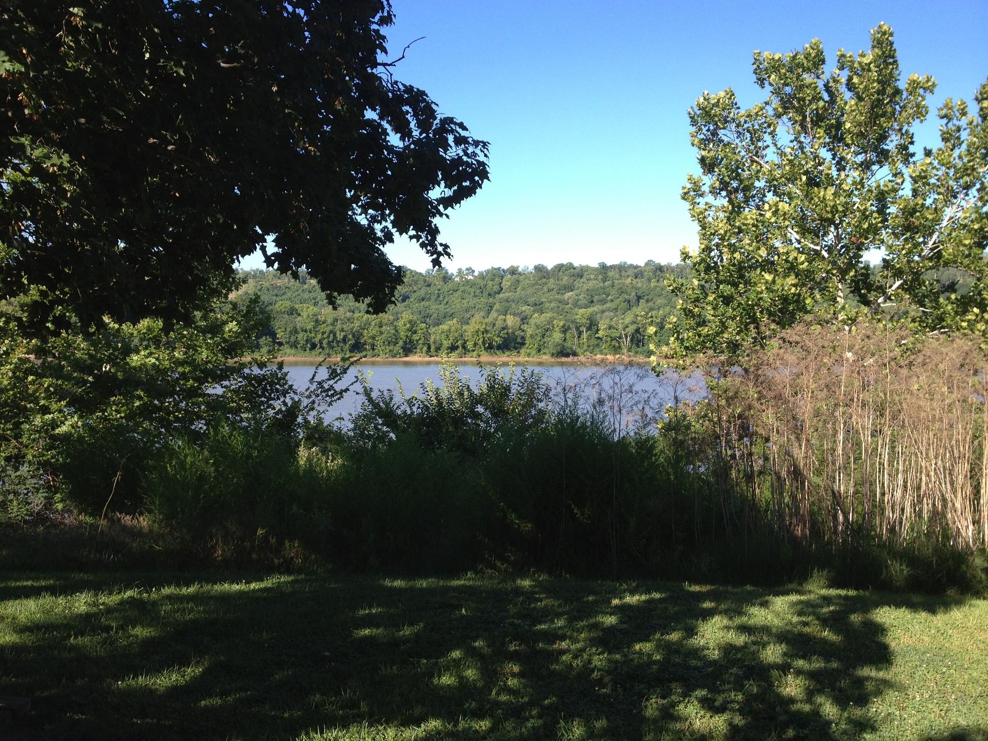 Sunny view of a lake framed by trees, with forested hills in the background.